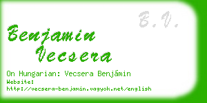 benjamin vecsera business card